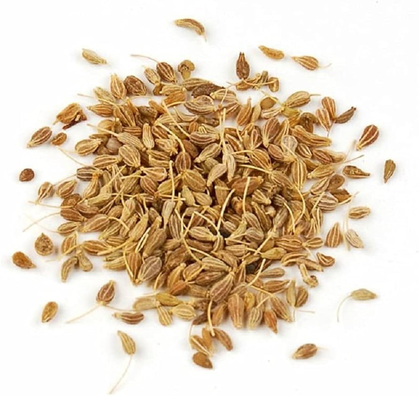 Fennel