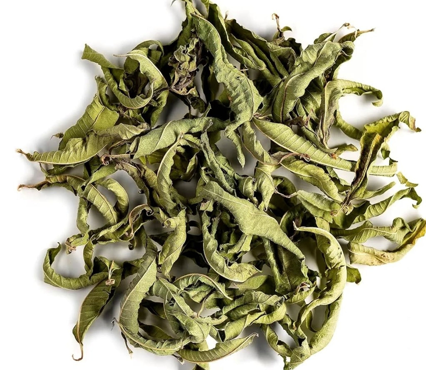 Lemon Verbena