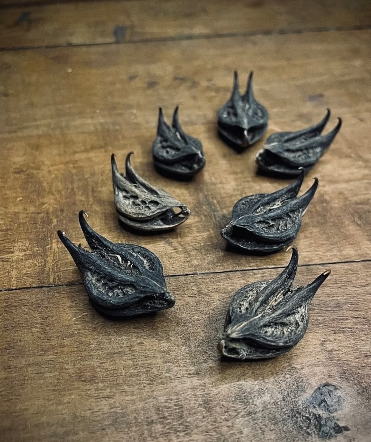 Devil's Claw