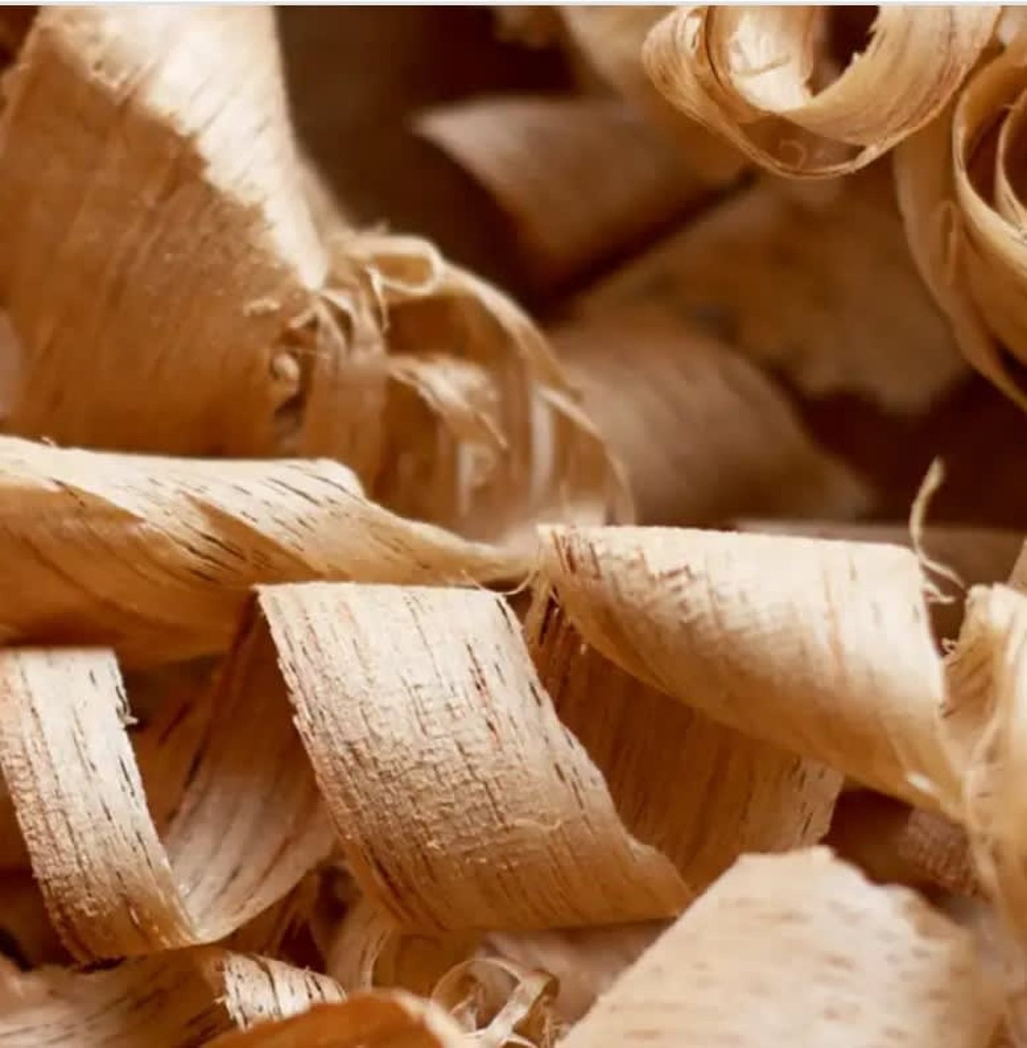 Cedar Wood