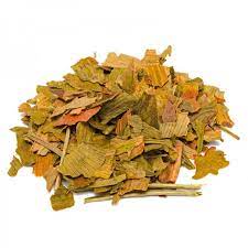 Ginkgo Biloba