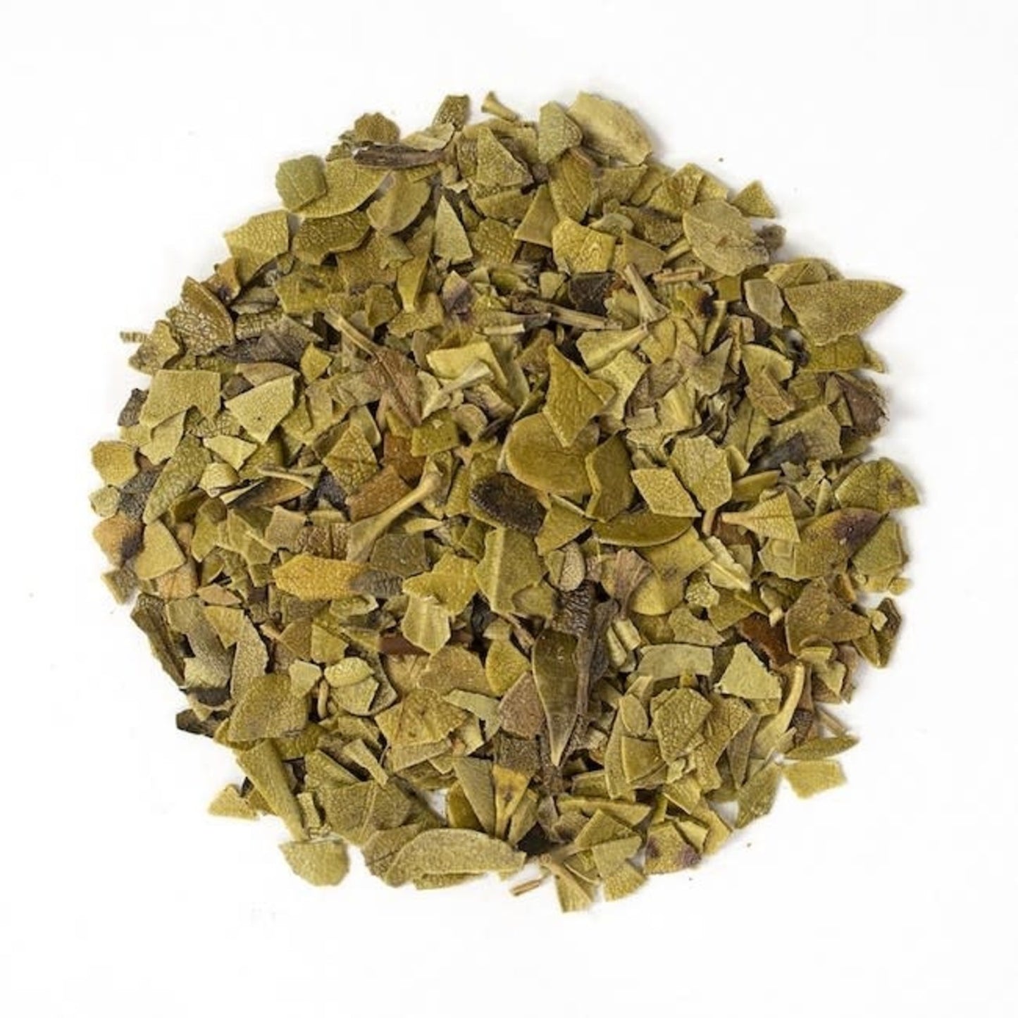 Uva Ursi
