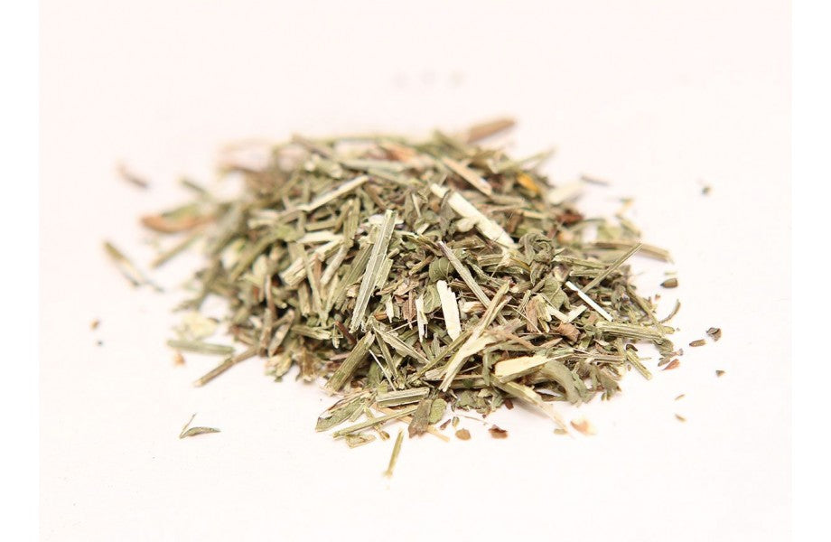 Blue Vervain