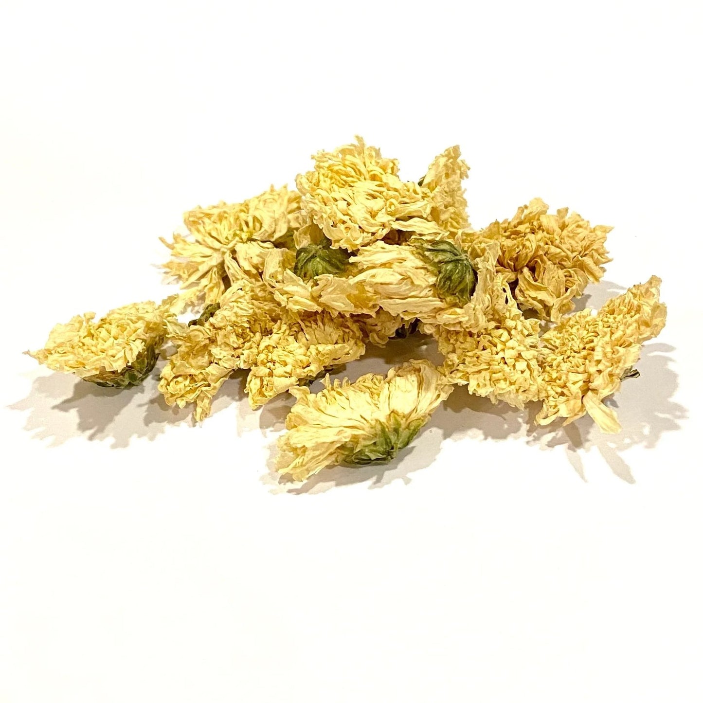 Chrysanthemum Flower