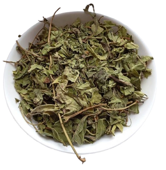 Nightshade (Belladonna)