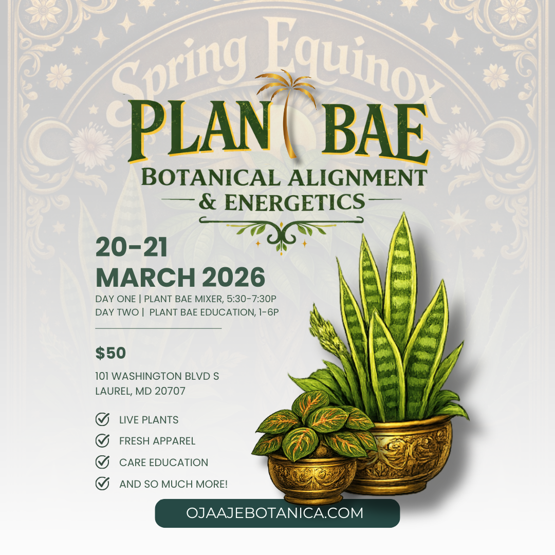 PLANT BAE | 2-day Spring Equinox Mini Plant Convention