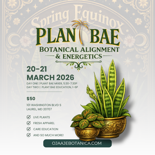 PLANT BAE | 2-day Spring Equinox Mini Plant Convention