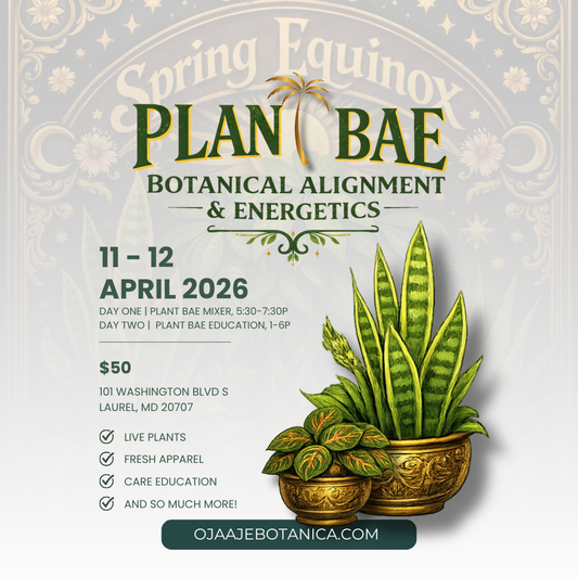 PLANT BAE | 2-day Spring Equinox Mini Plant Convention