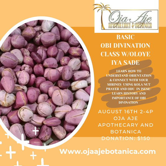 Basic Obi Divination Class