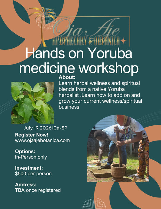 Hands-on Yoruba Medicine Workshop